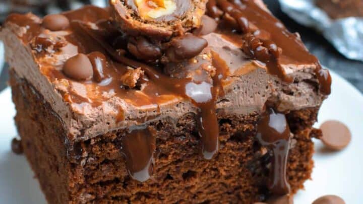 Ferroro Roche Chocolate Poke Cake on a plate 17 Custom.jpg