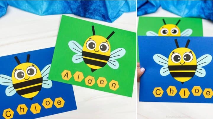 Bee Name activity image.jpg