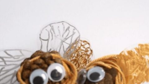 pine cone bees.jpg