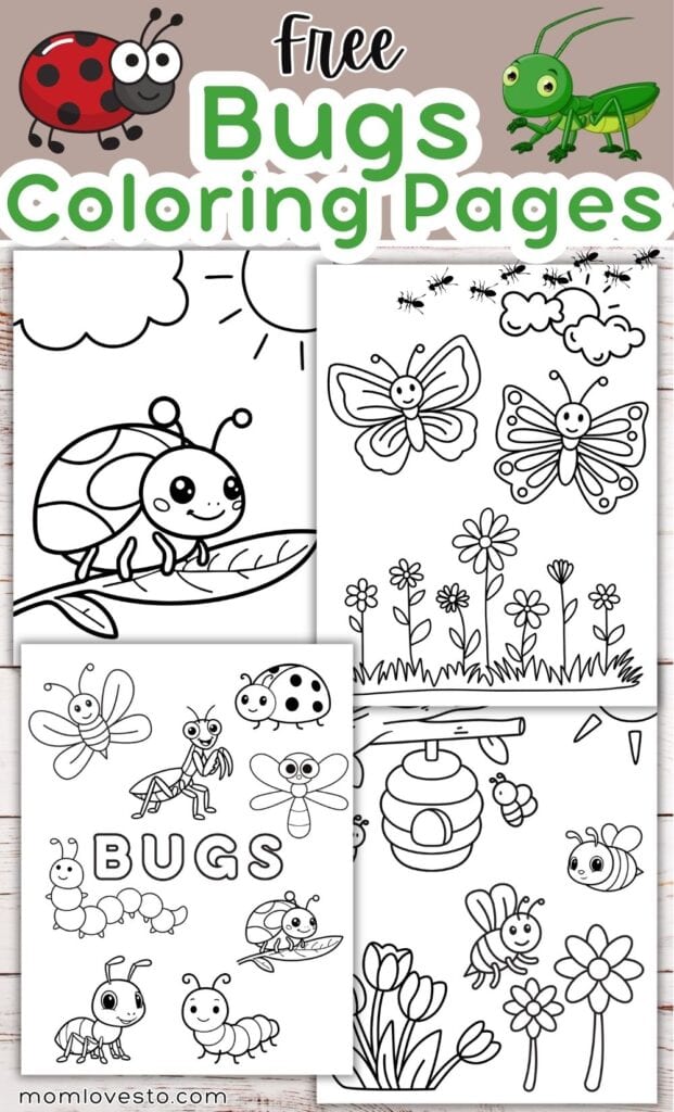 Bugs Coloring Pages (1)